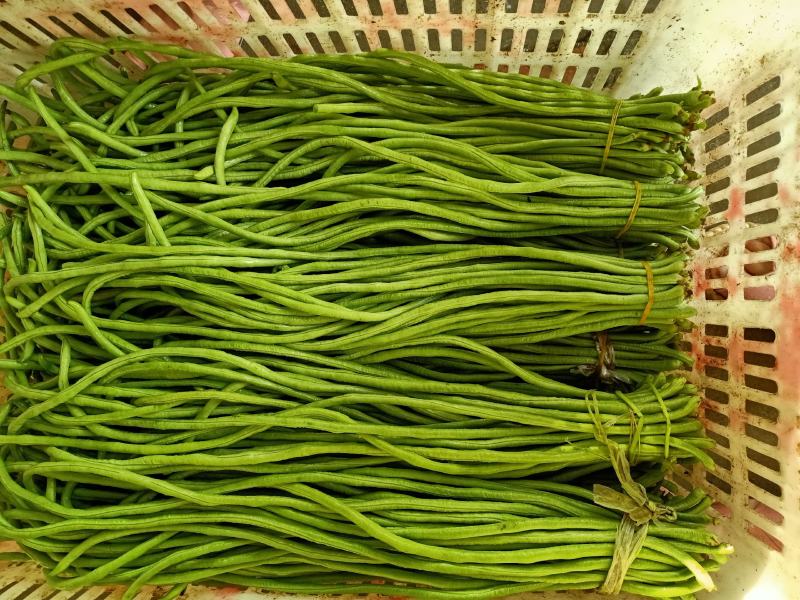 泡豇豆豇豆豇豆豇豆豇豆豇豆豇豆豇豆豇豆豇豆豇豆豇