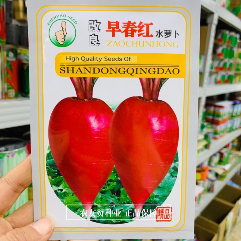 改良早春红水萝卜种子早熟红皮白肉萝卜种子全国各地种植