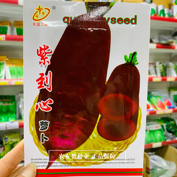 适合腌制加工三紫萝卜种子紫皮紫心紫肉，紫到心萝卜种子