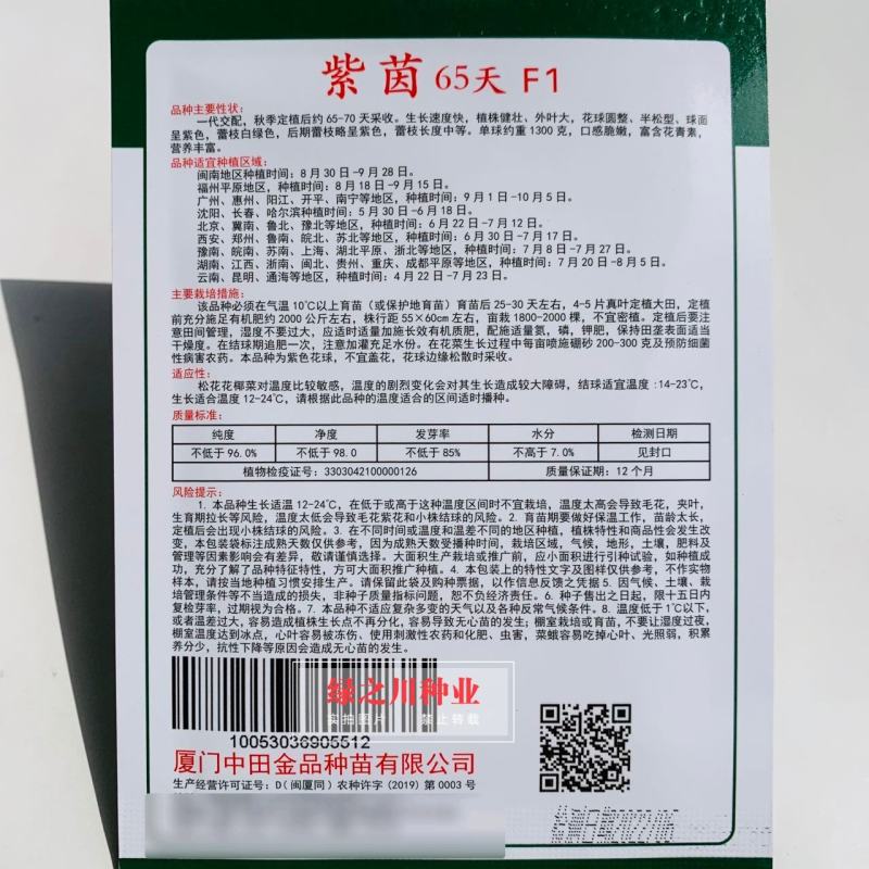紫茵65天花椰菜种子半松型花菜种子富含花青素口感脆嫩