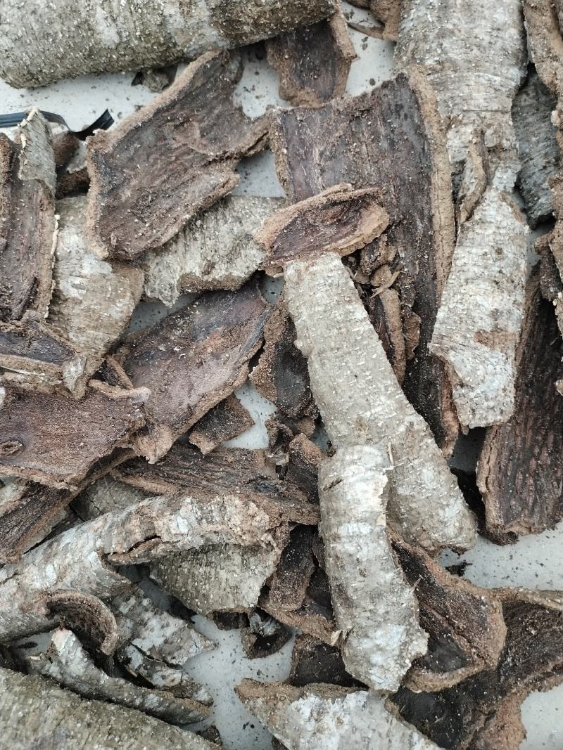 中药材救必应，榕胆木皮，红榕胆木皮，价格实惠，质量保证！