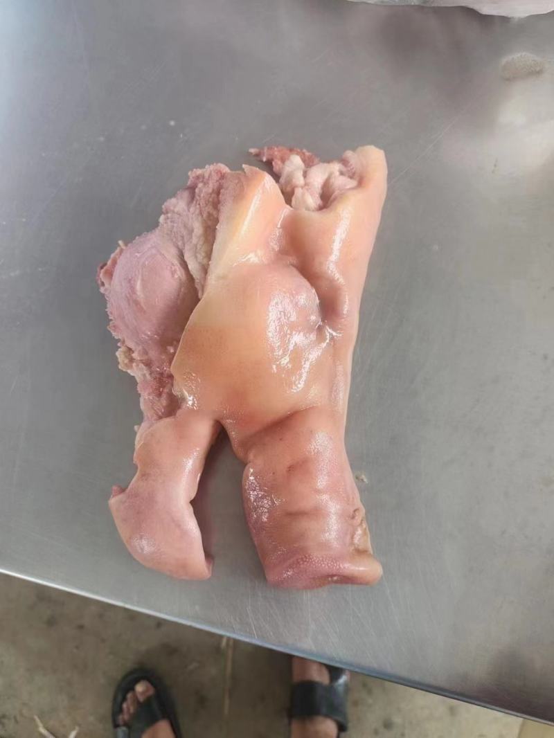 河南郑州猪头肉半成品猪头肉，猪脸肉，去骨猪头肉，猪头肉