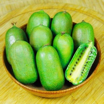 丹东软枣猕猴桃，产地代办，可一件代发，礼盒均可