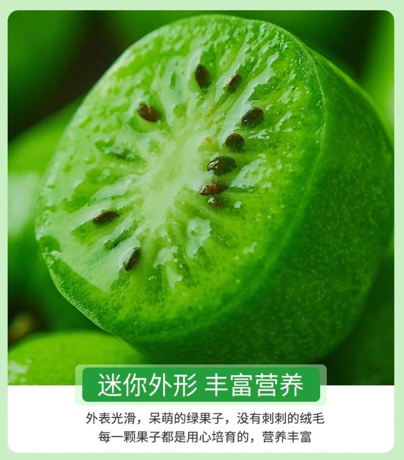 丹东软枣猕猴桃，产地代办，可一件代发，礼盒均可