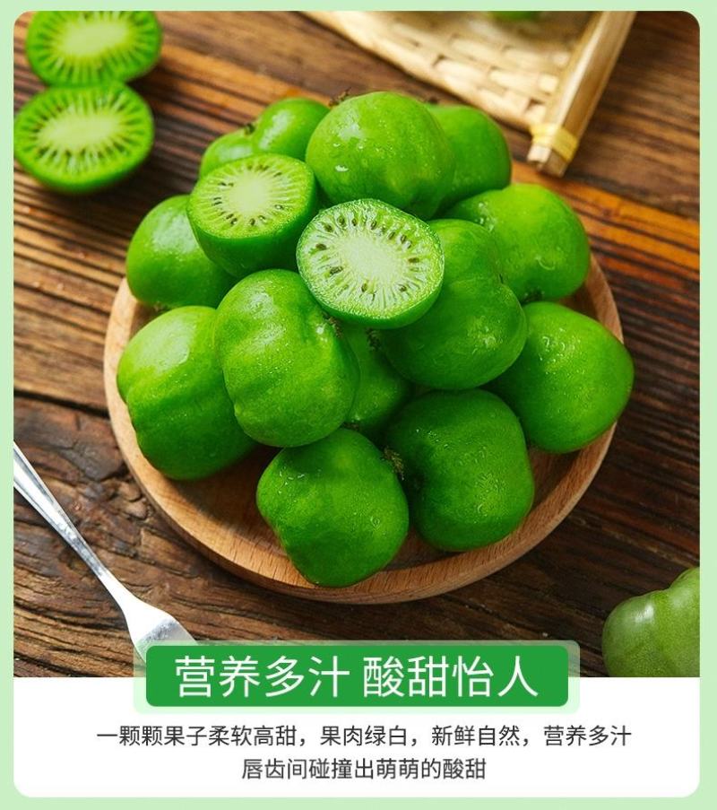 丹东软枣猕猴桃，产地代办，可一件代发，礼盒均可