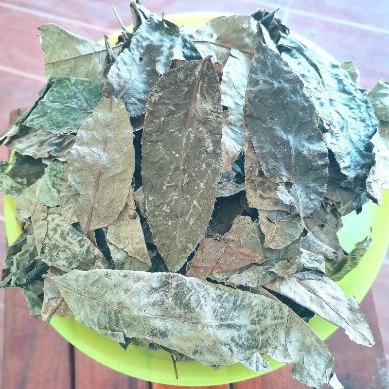 千年通眼古树叶树叶甜茶生叶直晒有益健康，量大从优