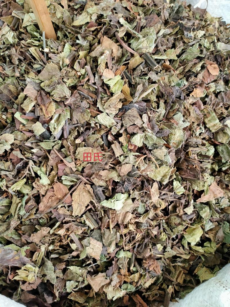 野生石见穿中药材店铺紫参石打穿月下红新鲜干货正品草药