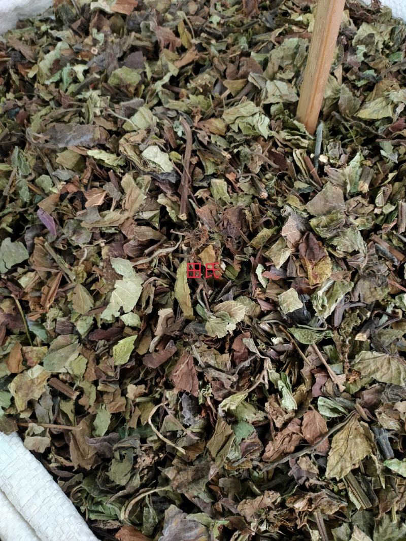 野生石见穿中药材店铺紫参石打穿月下红新鲜干货正品草药