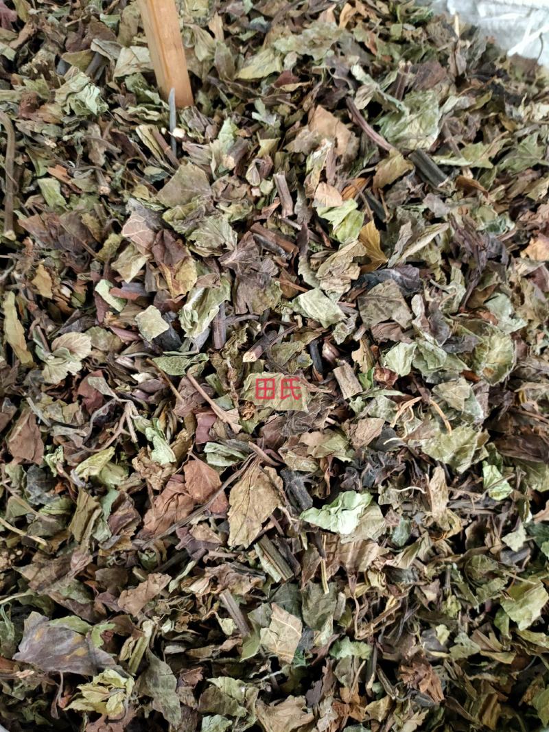 野生石见穿中药材店铺紫参石打穿月下红新鲜干货正品草药