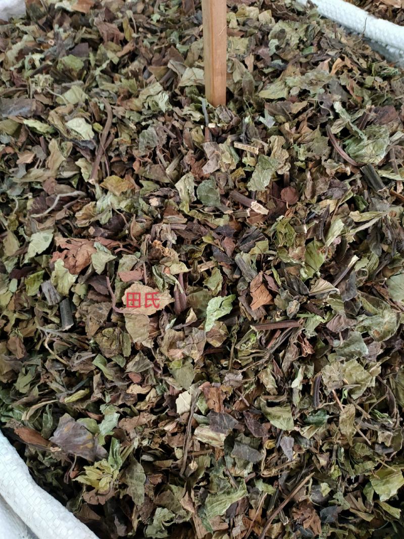 野生石见穿中药材店铺紫参石打穿月下红新鲜干货正品草药
