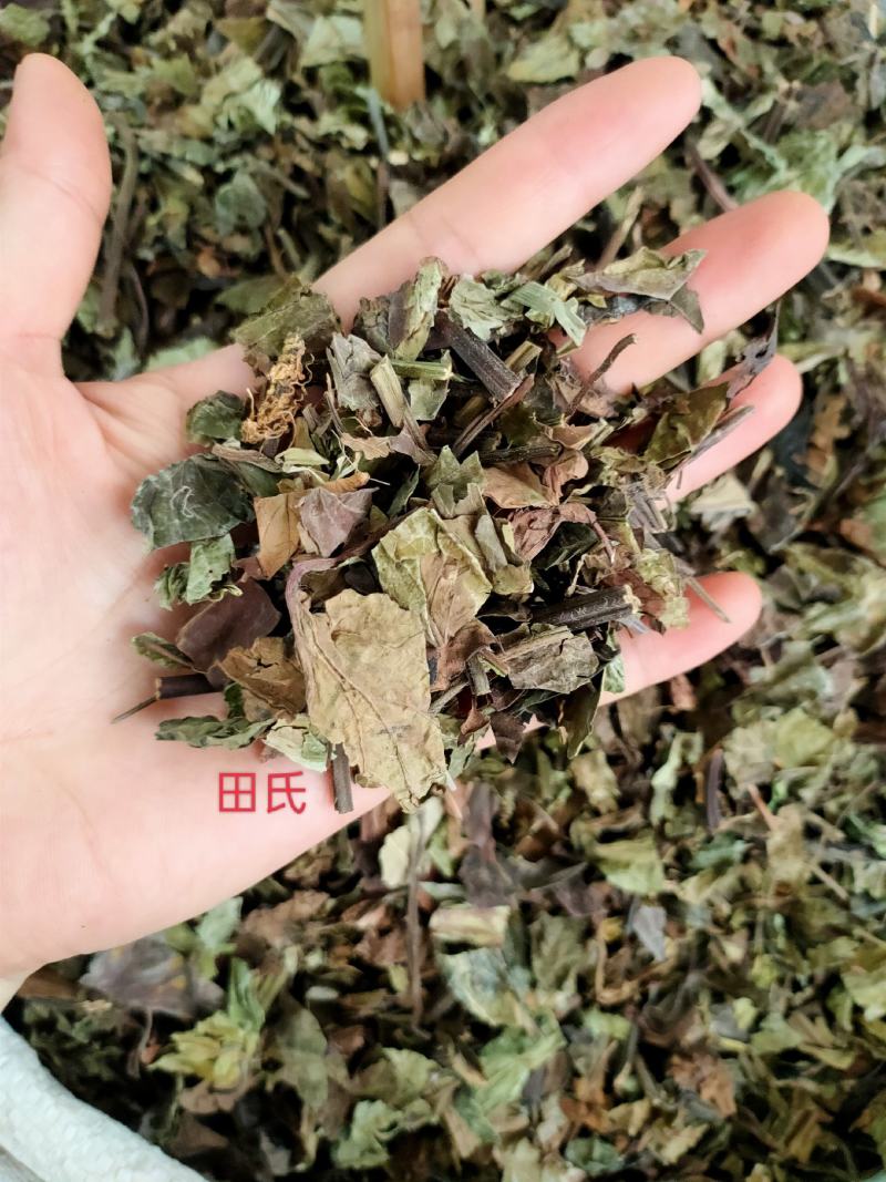 野生石见穿中药材店铺紫参石打穿月下红新鲜干货正品草药