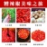 贵州特产土特产糟辣椒遵义农家手工自制