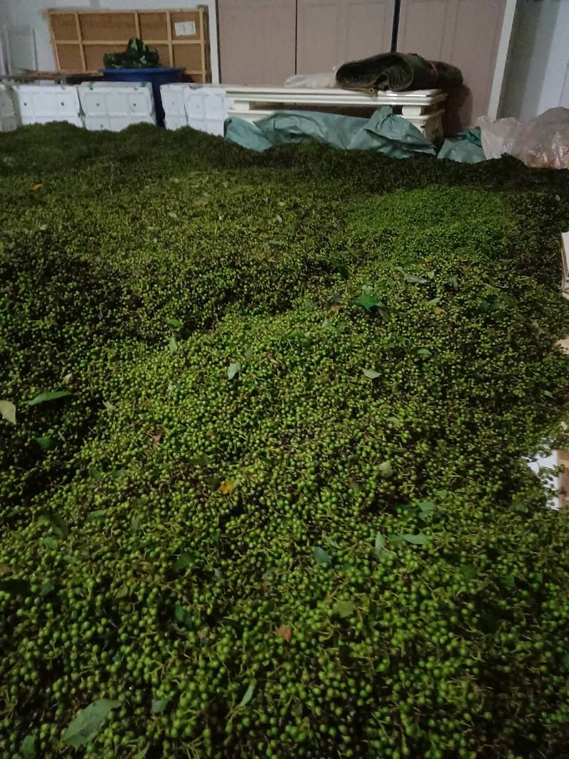 大量出售木姜子，云南省保山市