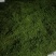 大量出售木姜子，云南省保山市