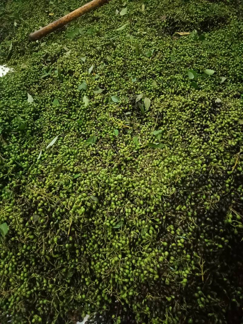 大量出售木姜子，云南省保山市