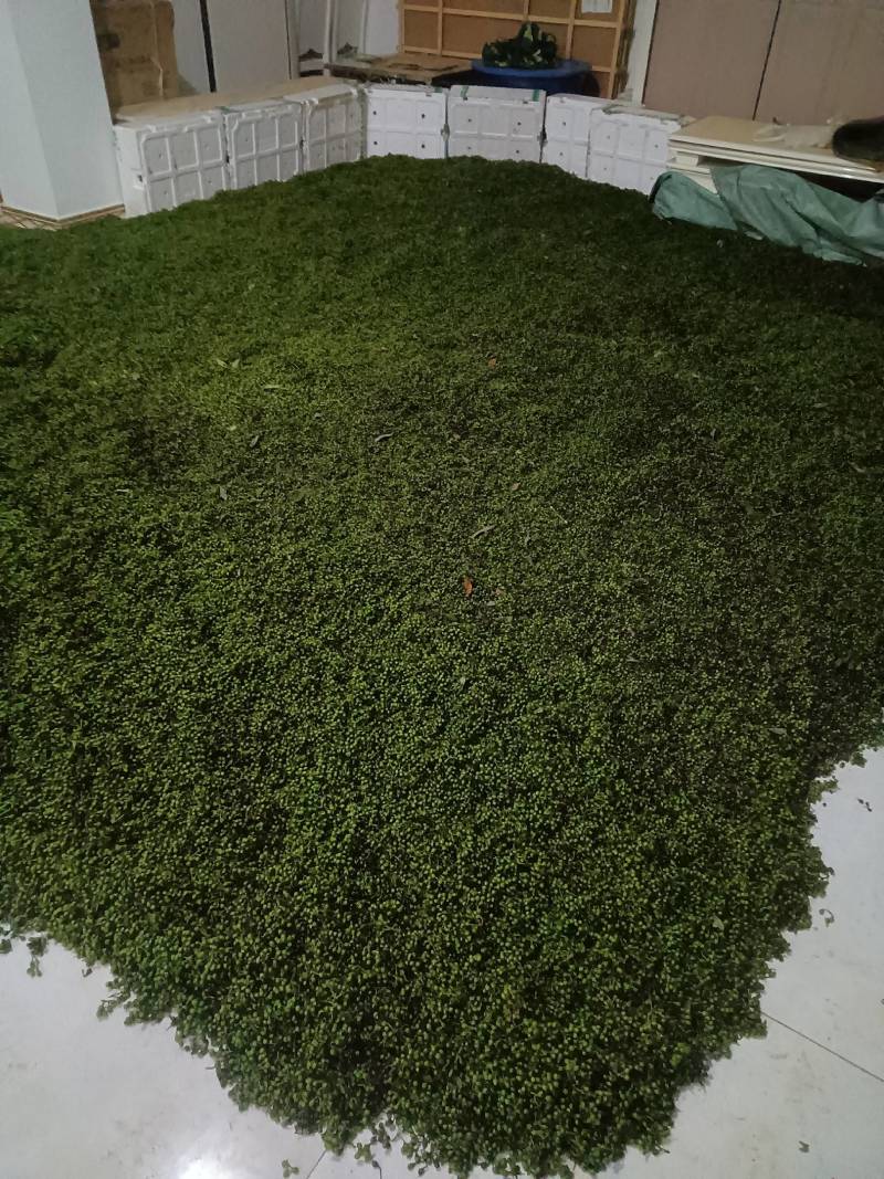大量出售木姜子，云南省保山市