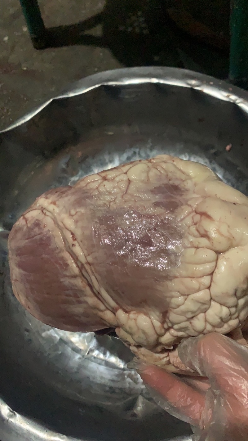 清真牛心味美价优常年批发大量有货全国可发