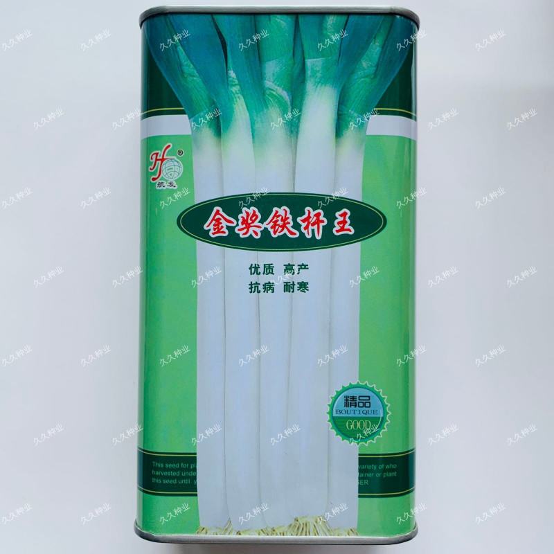 金奖铁杆王大葱种子抗病耐寒高产大葱种子植株高大挺直优质大
