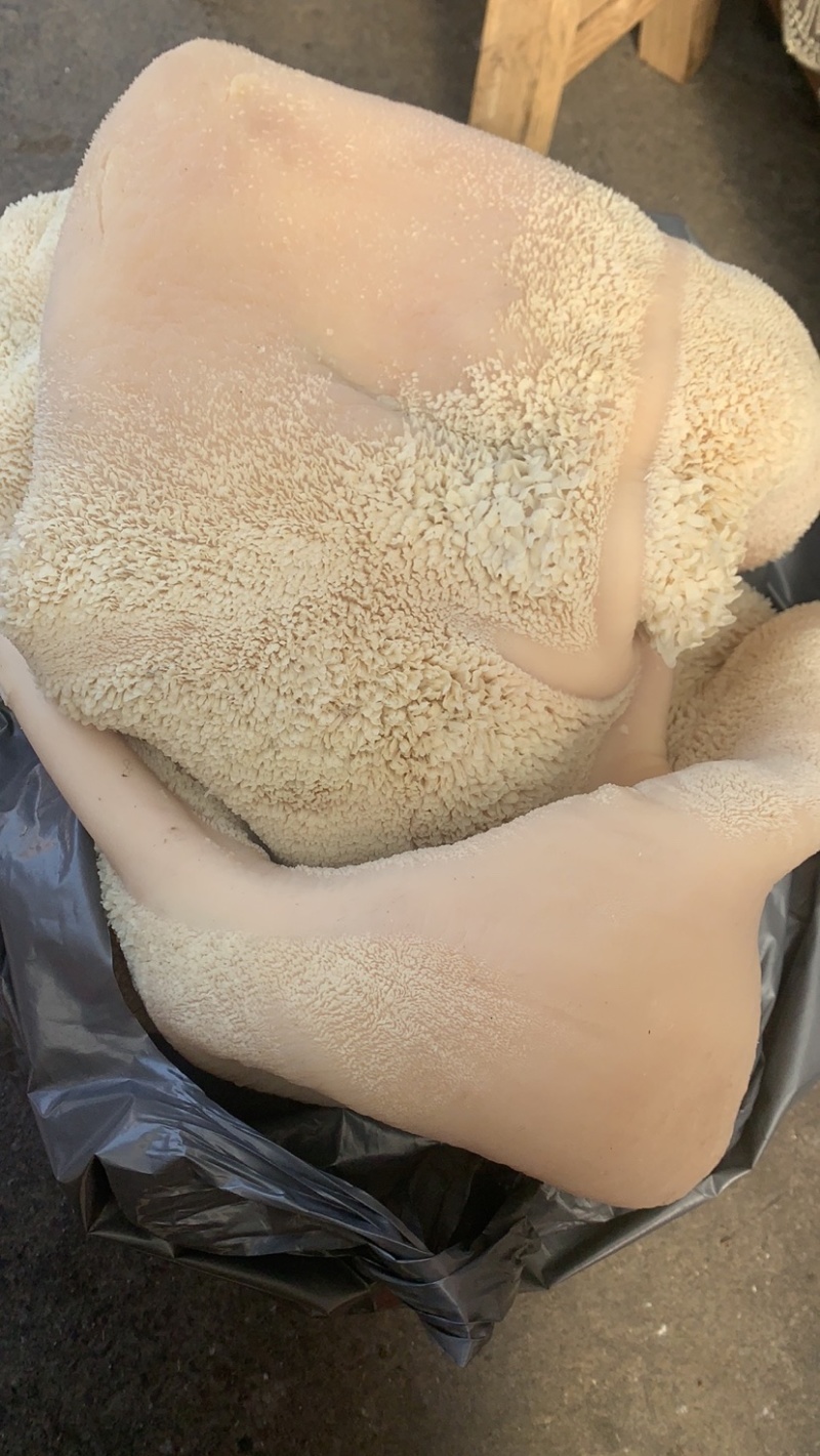 清真水煮牛肚，纯干货