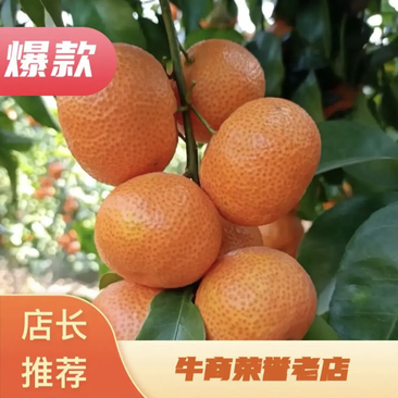 广西正宗砂糖橘，实力代办，大吨位供应，品质保证