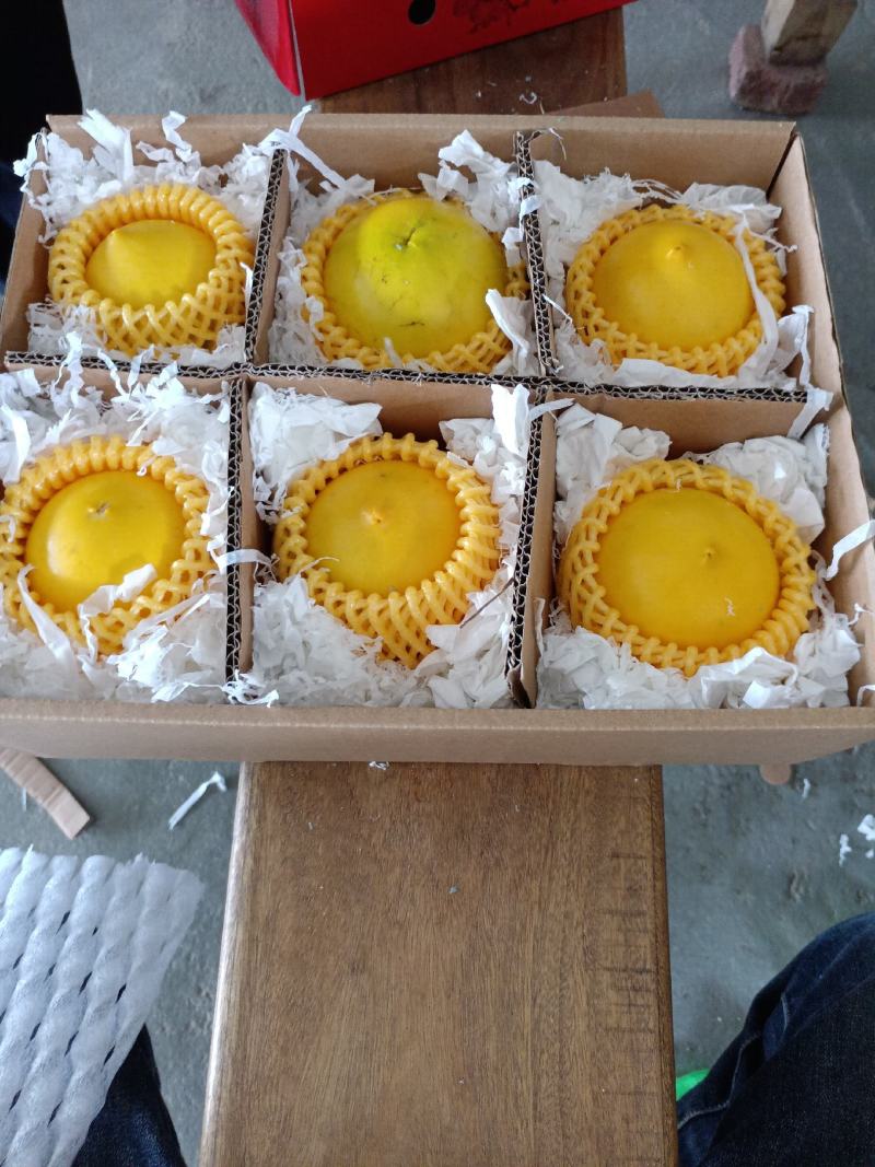 黄金果
