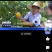 黄金果