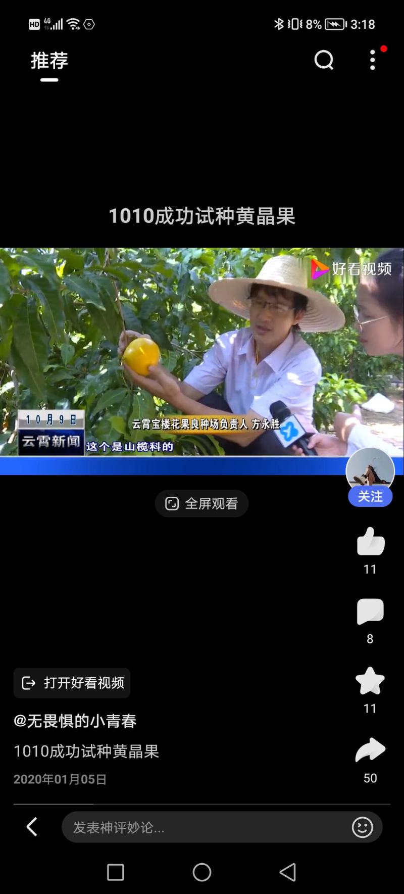 黄金果