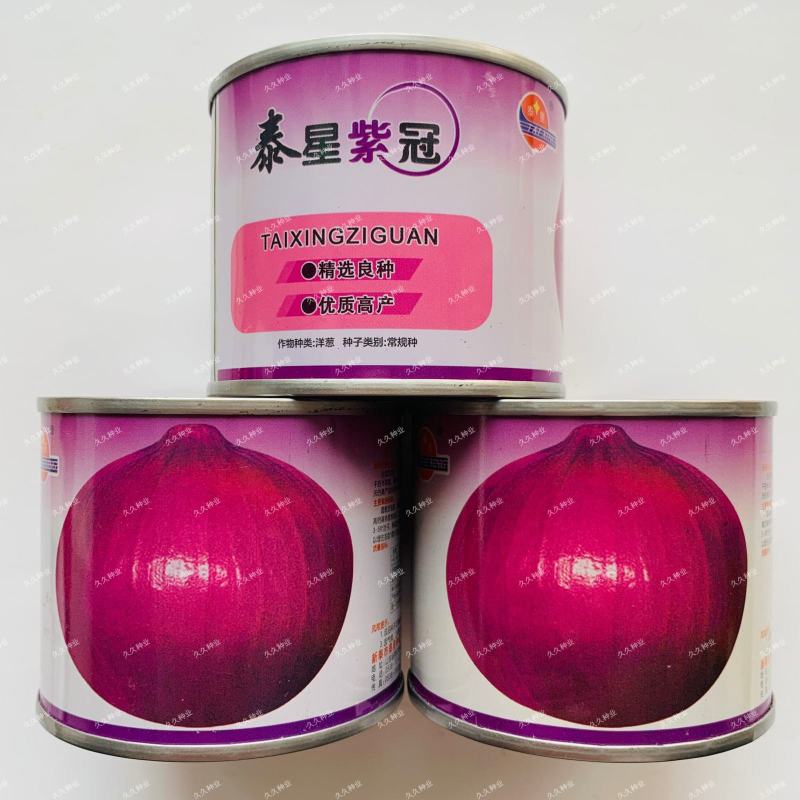 泰星紫冠红皮洋葱种子耐寒抗病红地球大圆葱葱头球葱种籽