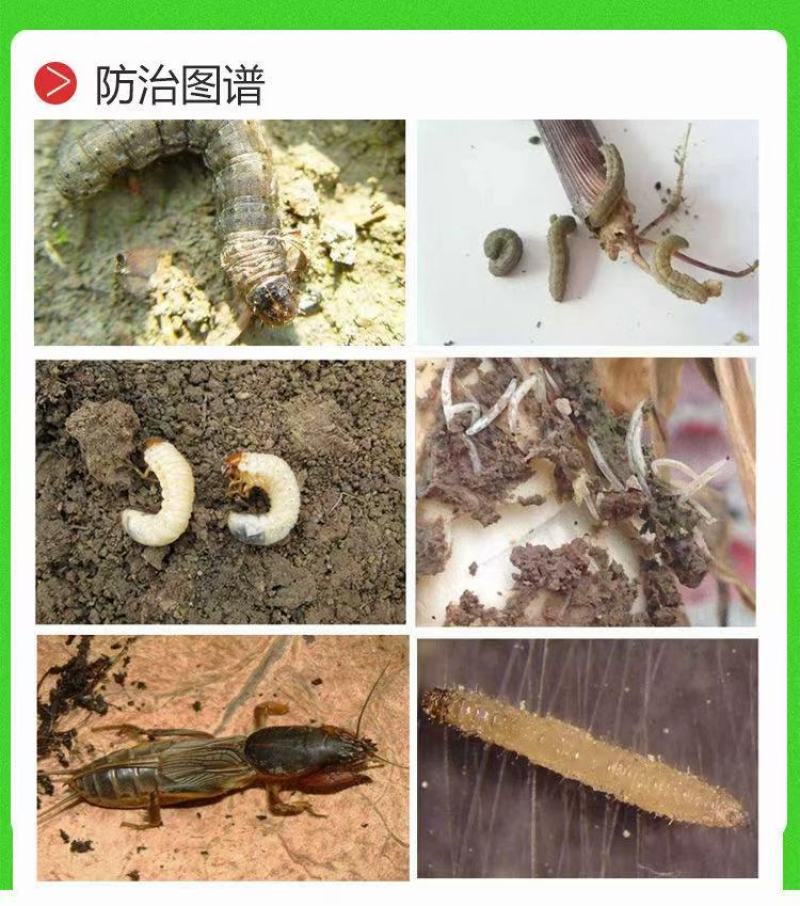 瑞隆宝地乐2%氟氯氰噻虫胺颗粒剂1000克10