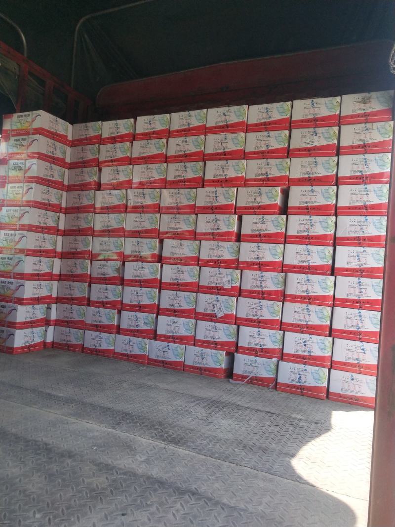瑞隆宝地乐2%氟氯氰噻虫胺颗粒剂1000克10