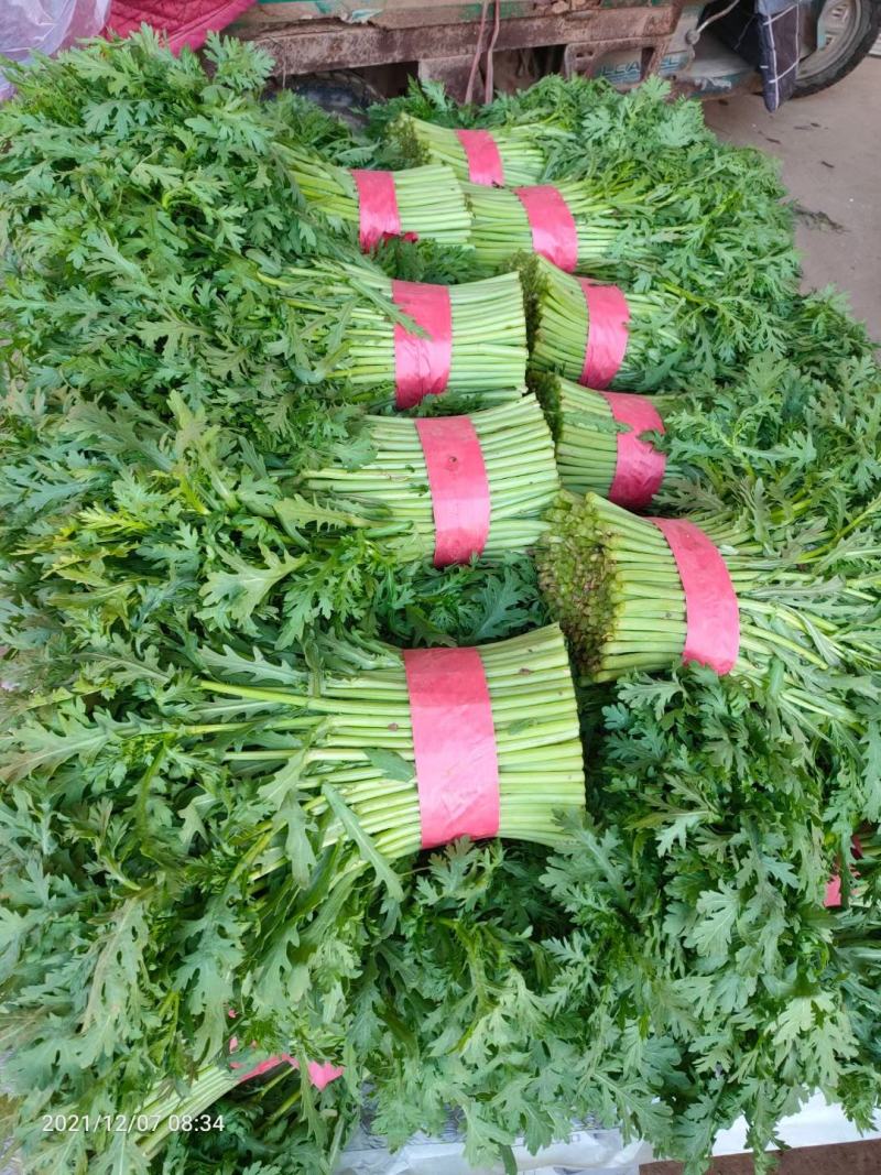 茼蒿，蒿子秆，光杆茼蒿，产地直供，各种蔬菜供应，产地直供