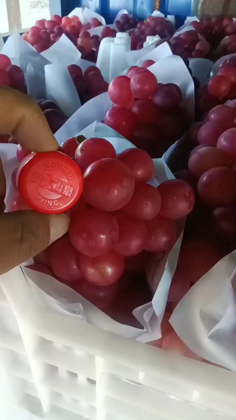 巨峰葡萄