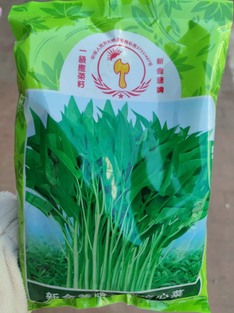 泰国空心菜种子，500克，高产脆嫩