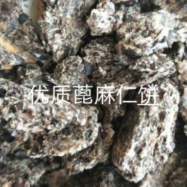 厂家出售篦麻饼，价格合理