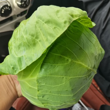甘兰