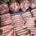 国产羊肉卷A不散不碎不柴产品直销货源充足，高中低档可选