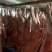 国产羊肉卷A不散不碎不柴产品直销货源充足，高中低档可选