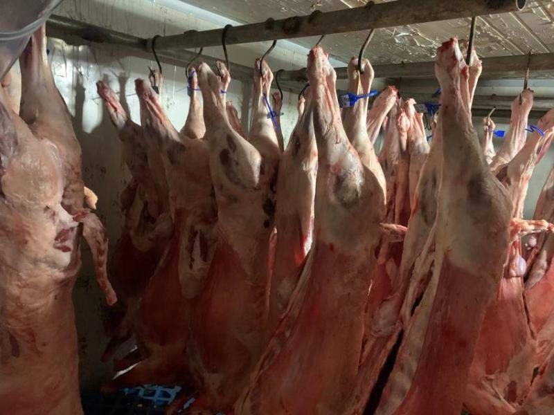 国产羊肉卷A不散不碎不柴产品直销货源充足，高中低档可选