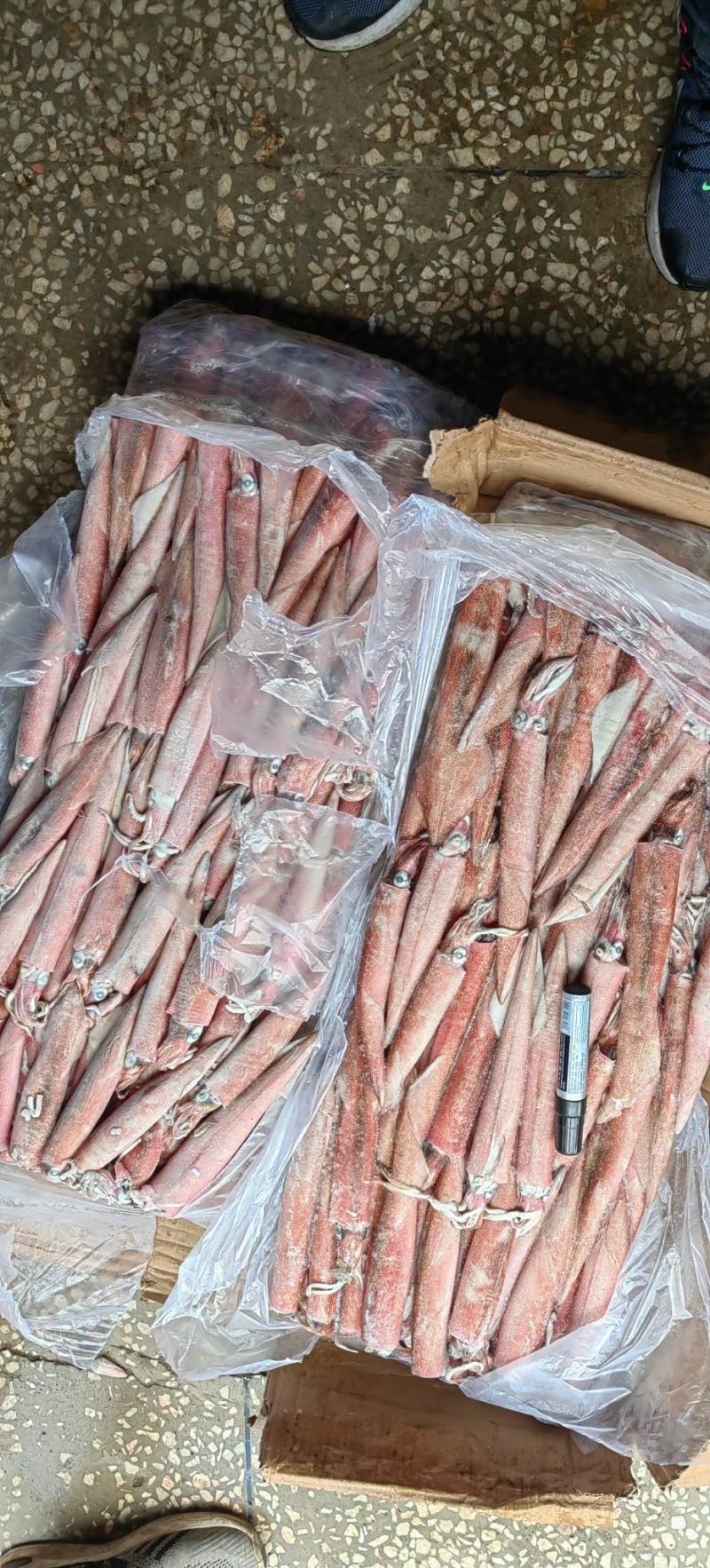 小火箭鱿鱼辣椒鱿鱼龙筒仔25gg鱿笔管鱼
