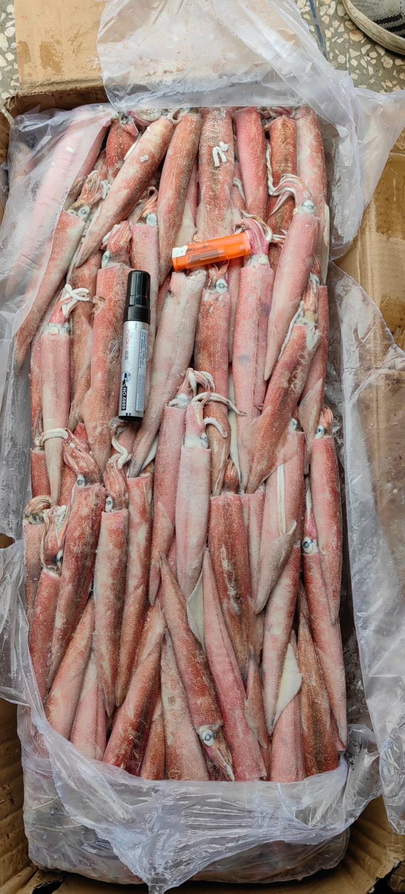 小火箭鱿鱼辣椒鱿鱼龙筒仔25gg鱿笔管鱼