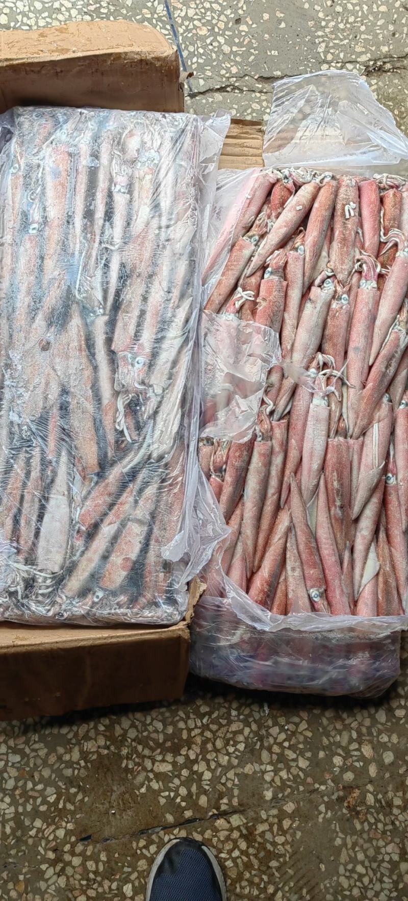 小火箭鱿鱼辣椒鱿鱼龙筒仔25gg鱿笔管鱼