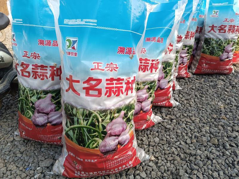 大名祘种