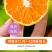 包邮【当天现摘】橘子水果新鲜薄皮无籽桔子酸甜蜜橘水果青皮