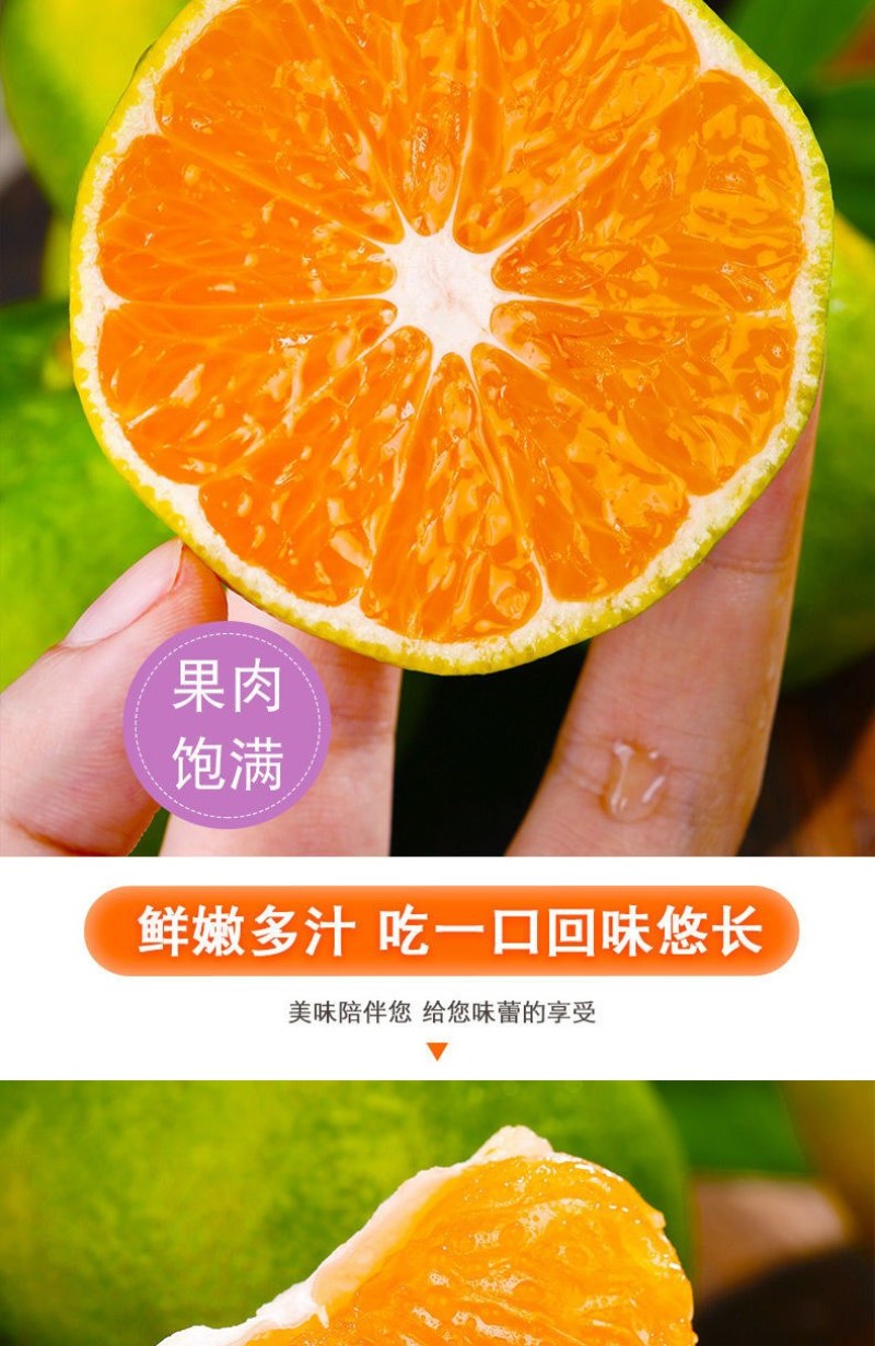 包邮【当天现摘】橘子水果新鲜薄皮无籽桔子酸甜蜜橘水果青皮