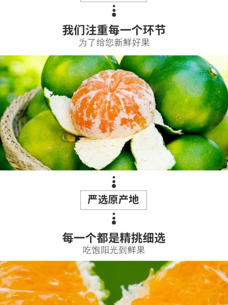 包邮【当天现摘】橘子水果新鲜薄皮无籽桔子酸甜蜜橘水果青皮