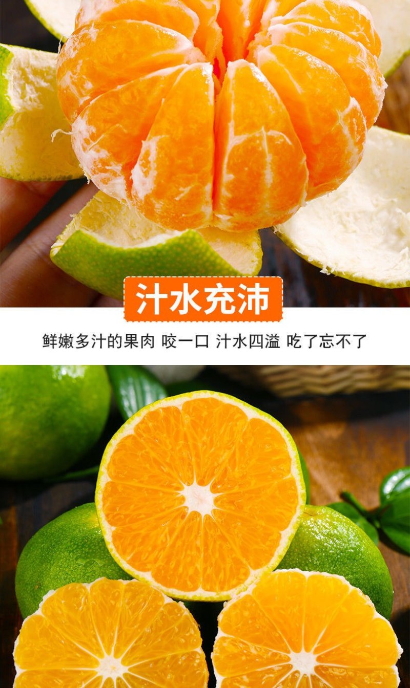 包邮【当天现摘】橘子水果新鲜薄皮无籽桔子酸甜蜜橘水果青皮
