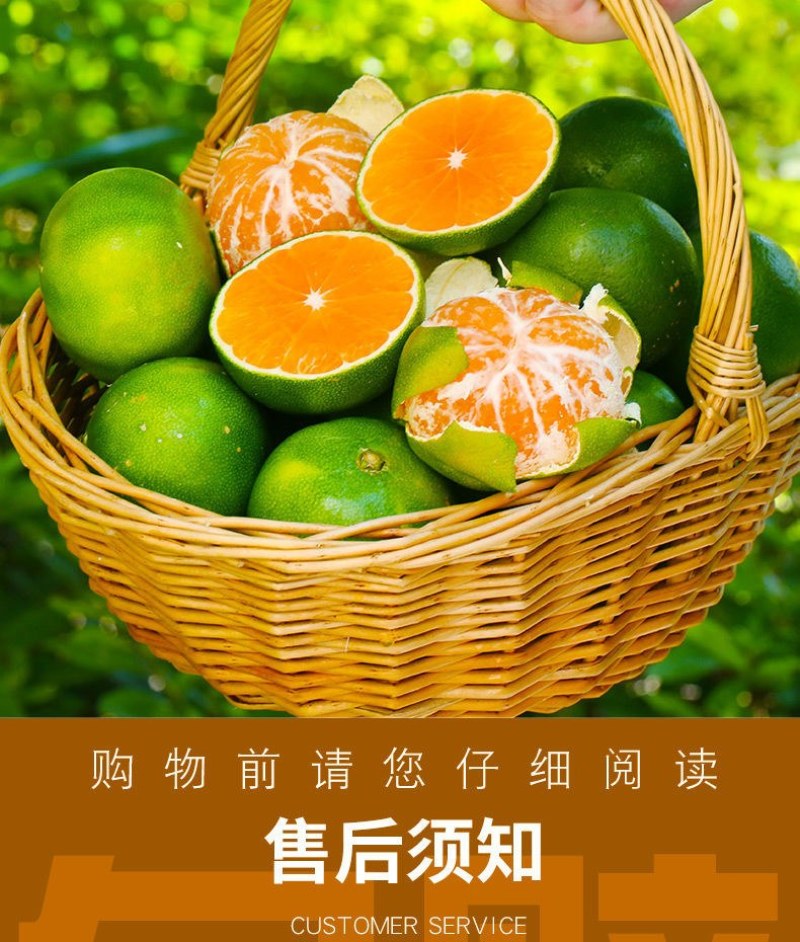 包邮【当天现摘】橘子水果新鲜薄皮无籽桔子酸甜蜜橘水果青皮