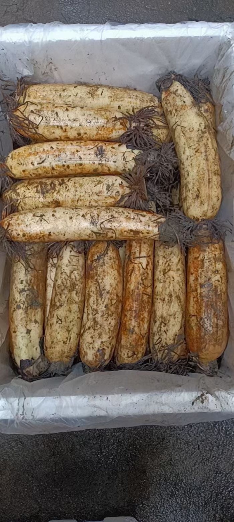 湖北洪湖。粉爆汤藕。一手货源。欢迎老板来的咨询