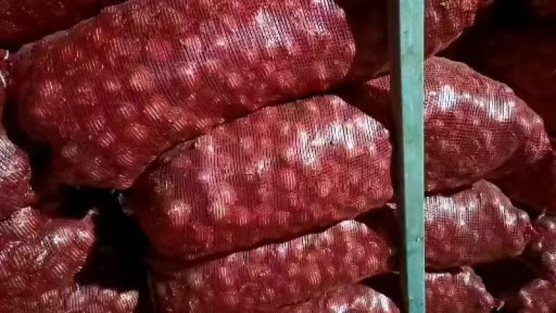黑龙江精品一手货源对接各大批发商质优价廉
