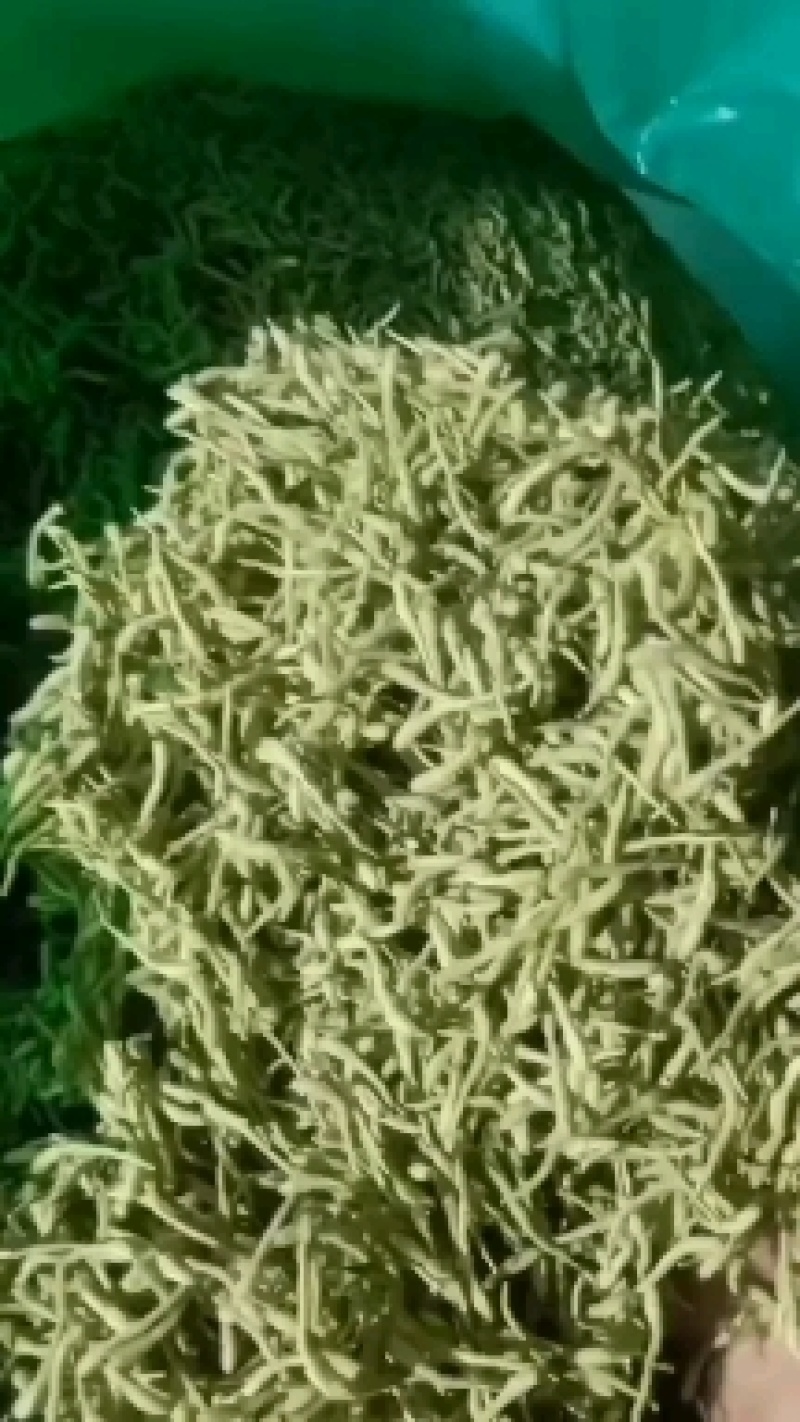 白芍新货各种规格各种中药材养生花茶批发地道药材